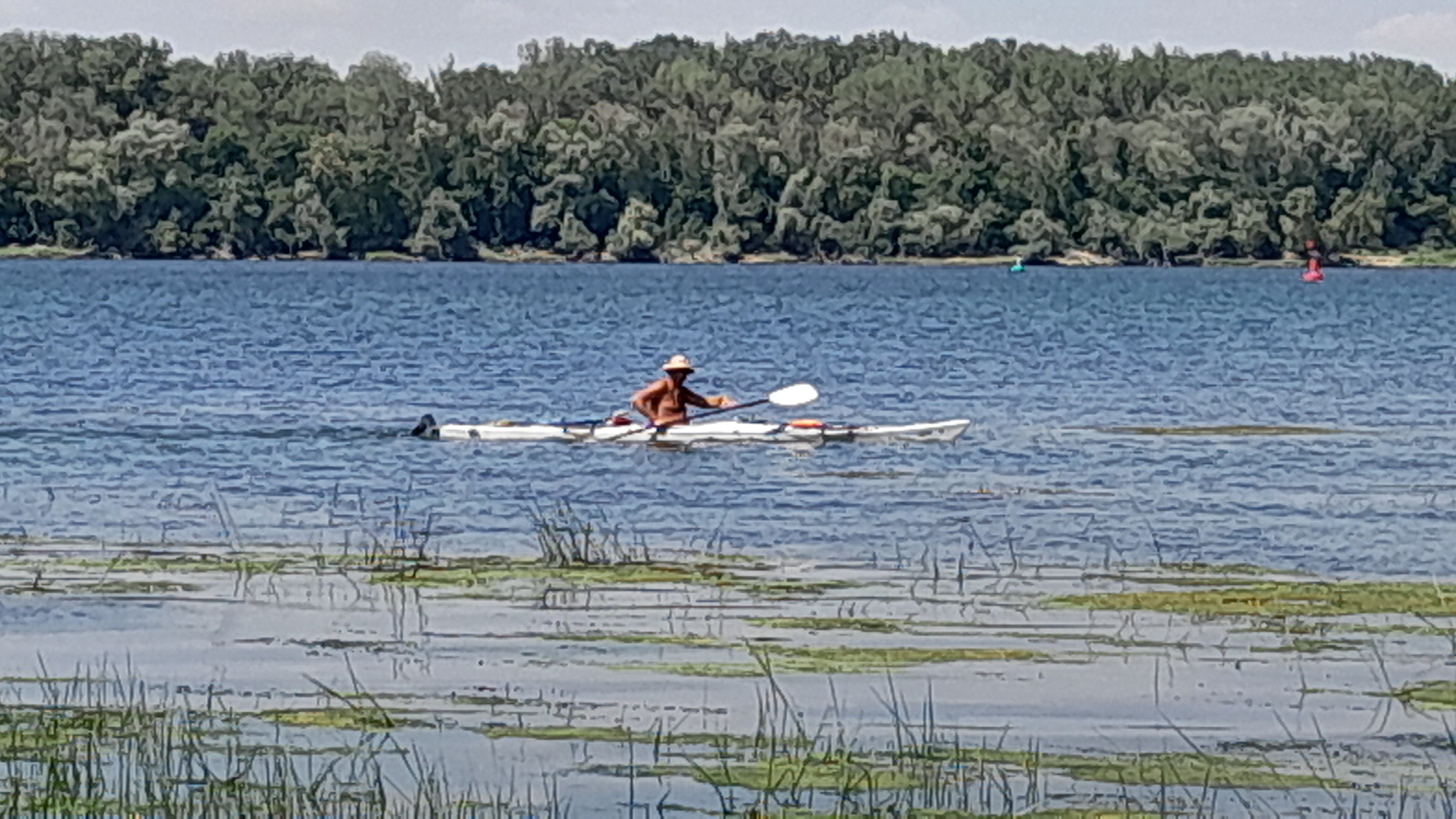 20260815_142040.jpg